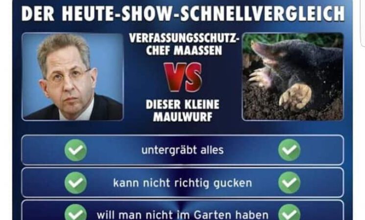 ZDF-Skandal: Sender muss sich bei Hans-Georg Maaßen entschuldigen