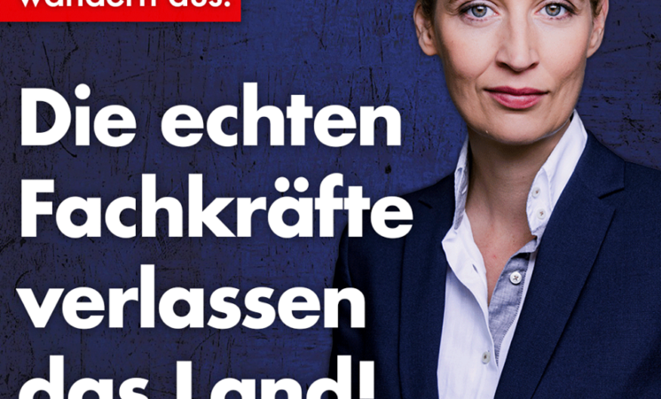 Alice Weidel: Deutsche Fachkräfte gehen, Netto-Empfänger kommen