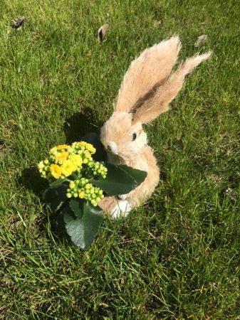 Wir wünschen allen ein frohes Osterfest