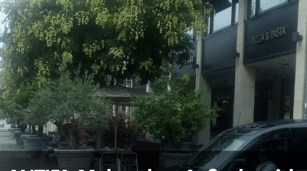 Unsupported video format