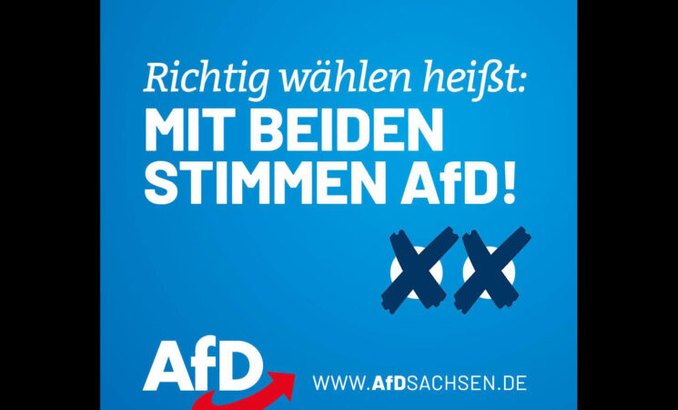 Richtig wählen heißt: Beide Stimmen für die AfD!